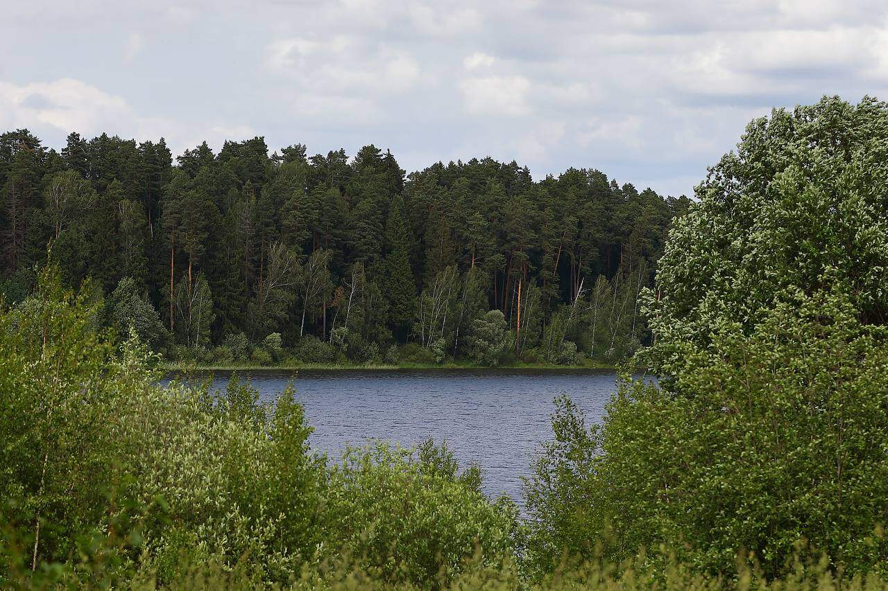 Река летом